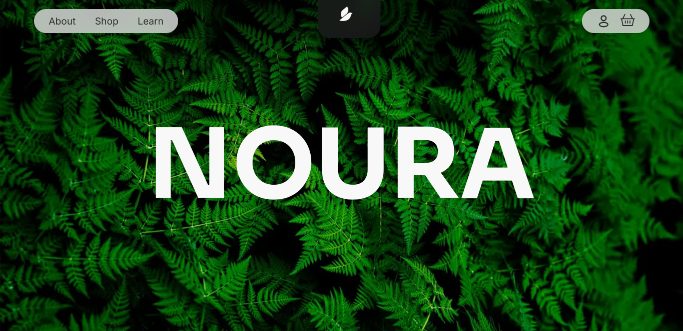 Screenshot of NOURA Skincare